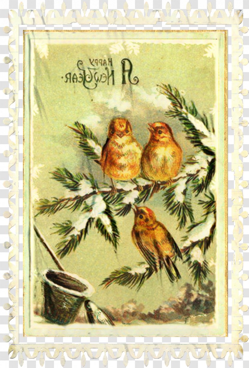 Postage Stamp - Beak - Finch Transparent PNG