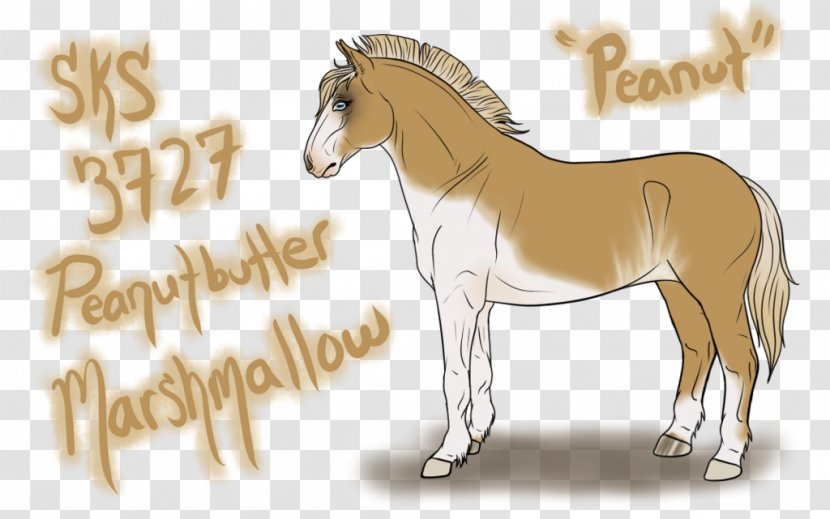 Foal Stallion Mustang Mare Pony - Peanut Butter Splash Transparent PNG
