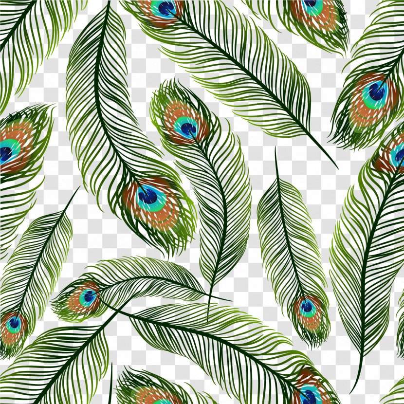 Feather Peafowl Euclidean Vector Clip Art - Stock Photography - Green Peacock Ling Transparent PNG