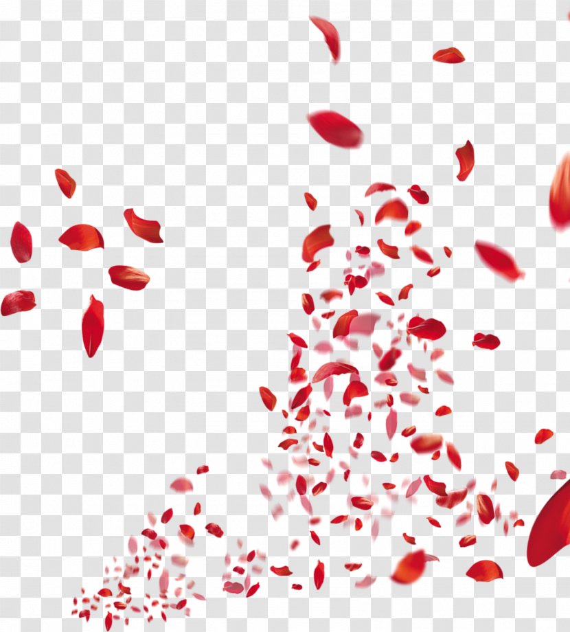 Adobe Illustrator CorelDRAW - Flower - Romantic Red Petals Falling Transparent PNG