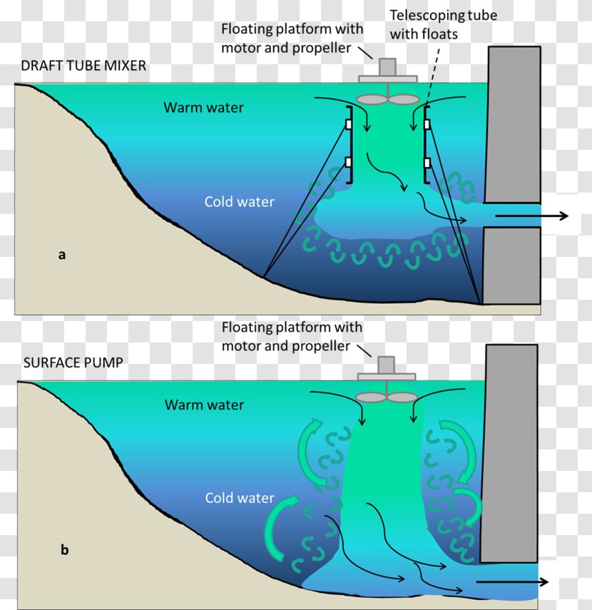 Water Resources Ecosystem Animal - Cartoon - Design Transparent PNG