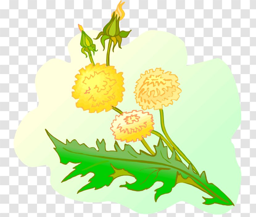 Floral Design Dandelion Clip Art - Paper - Flowers Transparent PNG