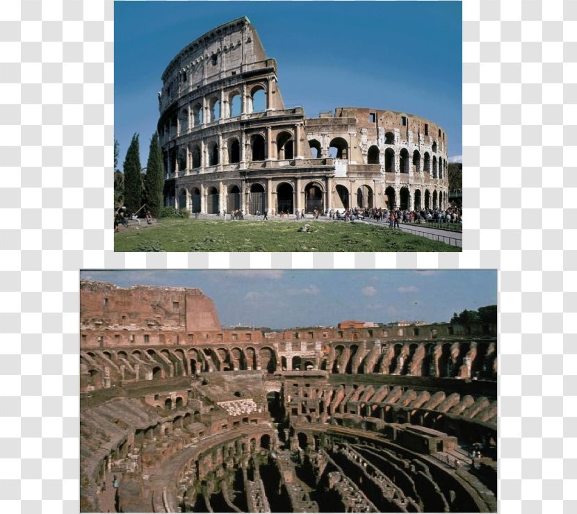 Colosseum Pantheon Flavian Amphitheater Ancient Rome Architecture - Tourist Attraction Transparent PNG