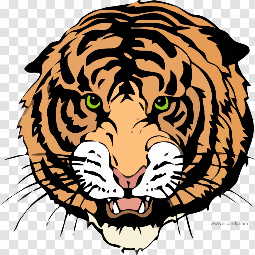 New England High School National Secondary Williston Education - Volleyball - Draw A Tiger Transparent PNG