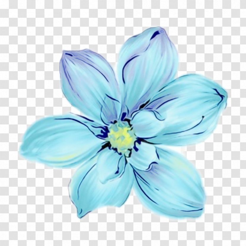 Blue Petal White Flower Plant - Flowering - Wildflower Transparent PNG