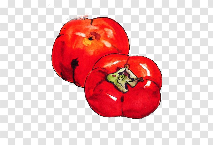 Tomato Persimmon Download - Fruit Transparent PNG
