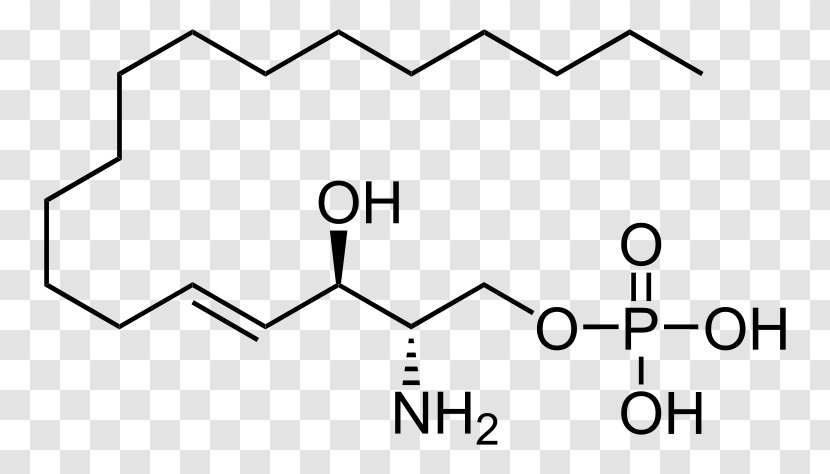 Ammonium Glufosinate Ammonia Acetic Acid - Silhouette - Watercolor Transparent PNG