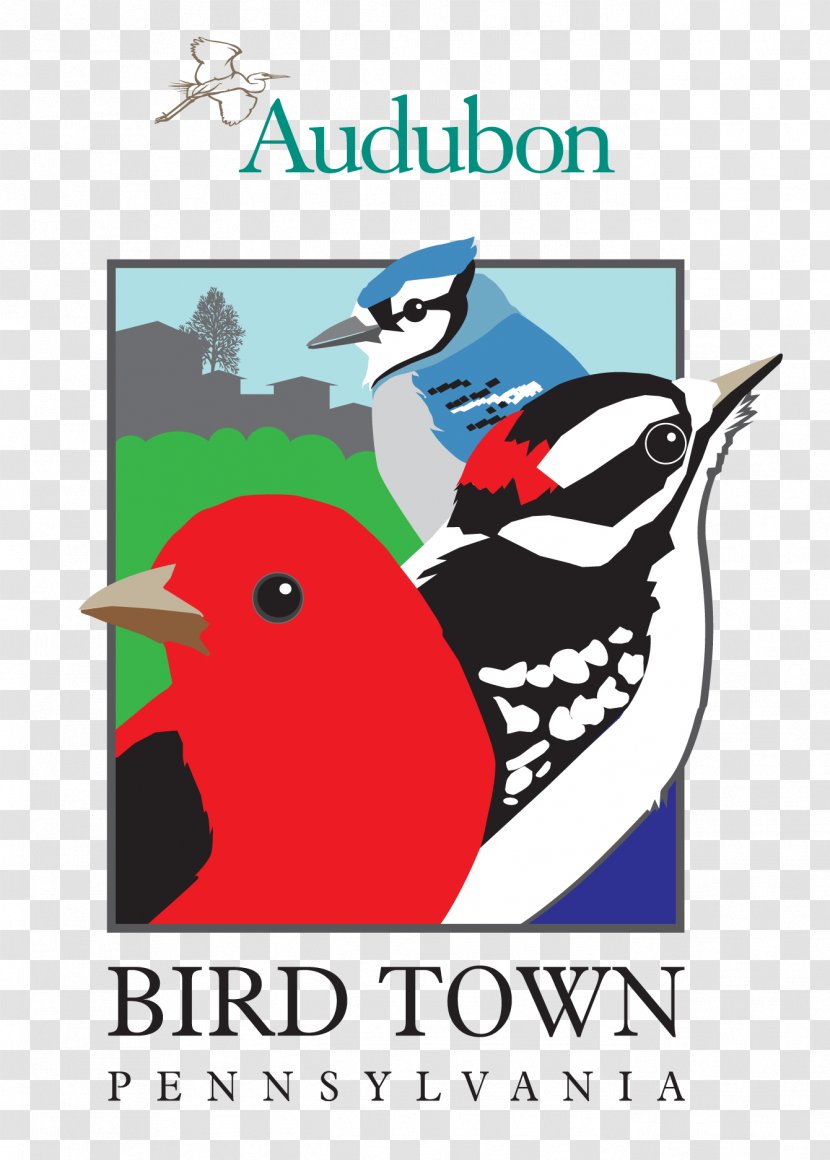 Bird Doylestown Cheltenham Township Mill Grove National Audubon Society - Brand Transparent PNG
