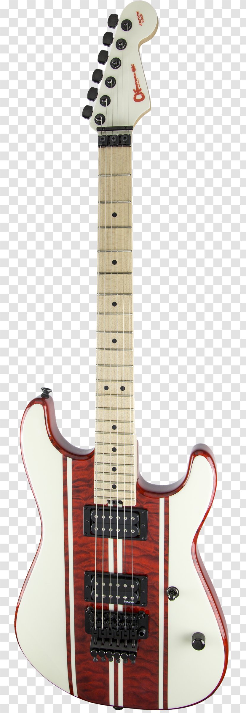 Bass Guitar Electric Acoustic Fender Musical Instruments Corporation Stratocaster - Telecaster - Volume Knob Transparent PNG