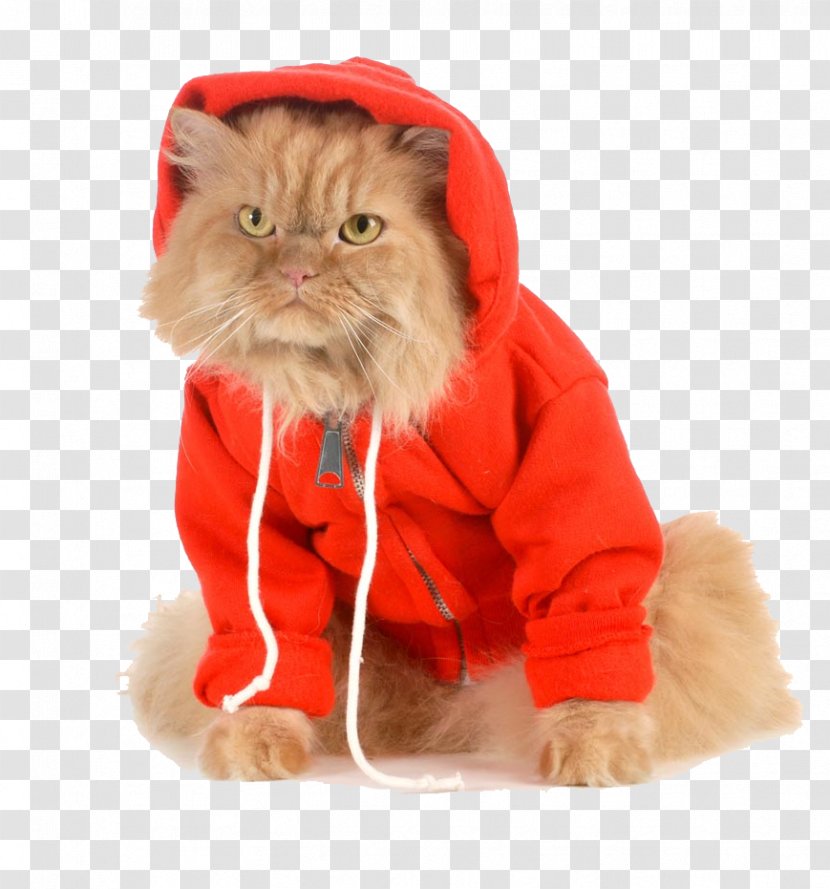 Cat Hoodie Dog Stock Photography Coat - Raincoat - Red Dress Pet Picture Material Transparent PNG
