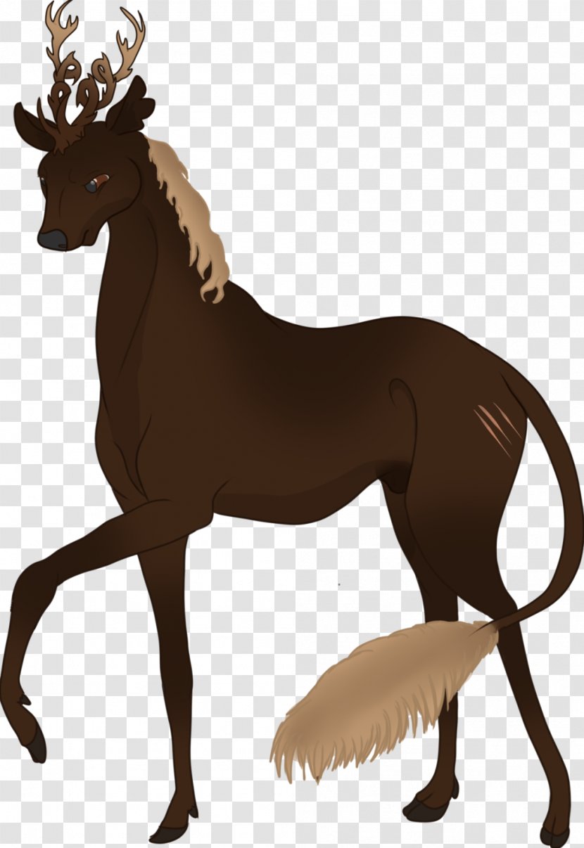 Mustang Foal Stallion Colt Mare - Bridle - Spirit Horse Transparent PNG