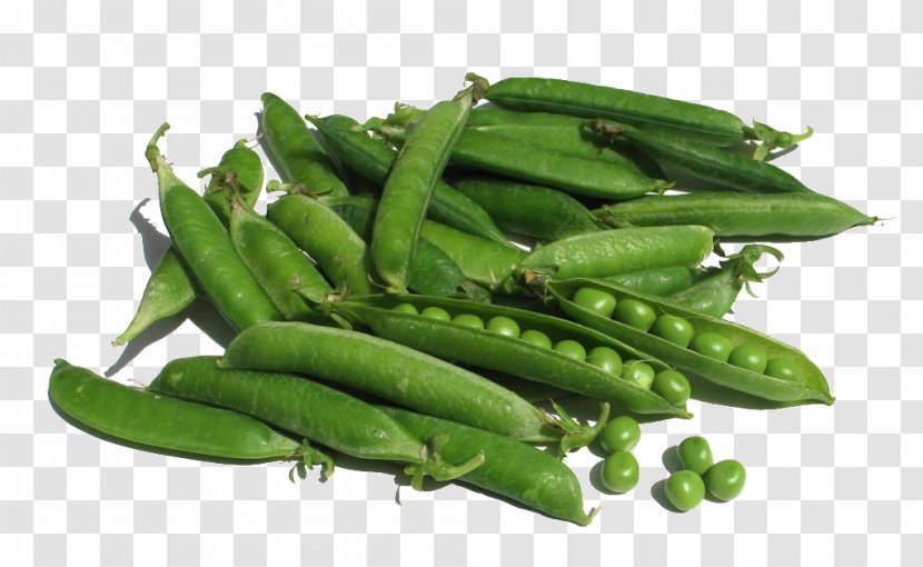 Organic Food Snow Pea Snap Vegetable - Bean - Green Beans And Peas Transparent PNG
