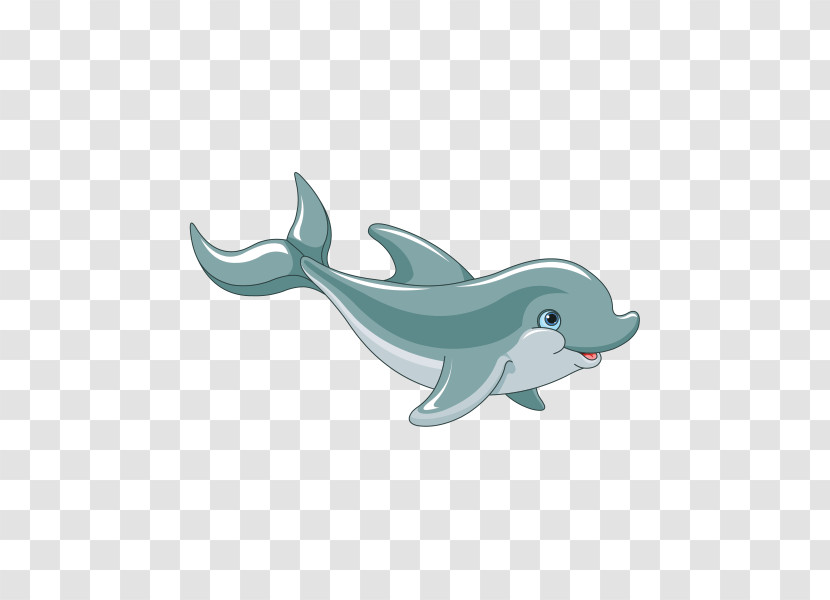 Shark Transparent PNG