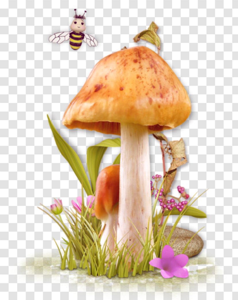 Edible Mushroom Fungus Clip Art - Garden Roses Transparent PNG