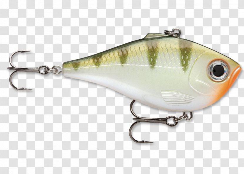 Fishing Baits & Lures Rapala - Bait Transparent PNG