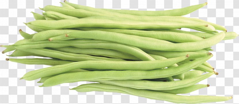Common Bean Lima Vegetable Green - Peanut - Pea Transparent PNG