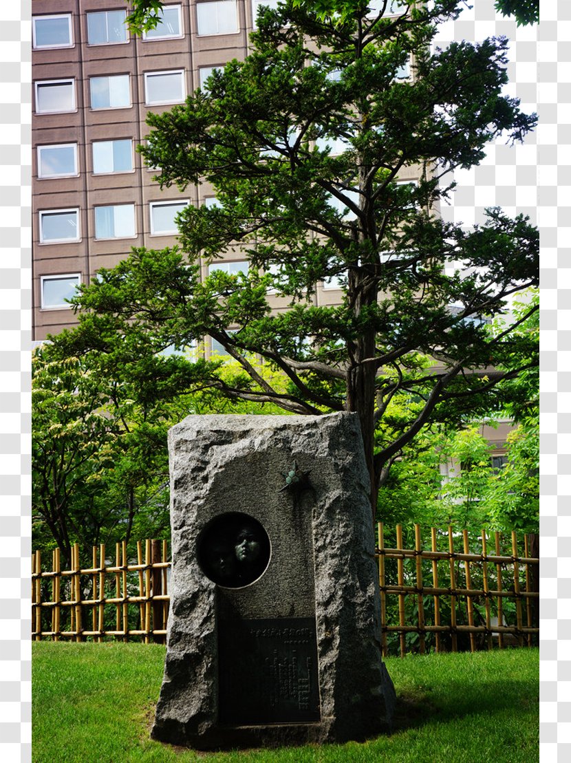 Odori Park Photography - Trunk - Hokkaido Photo Transparent PNG