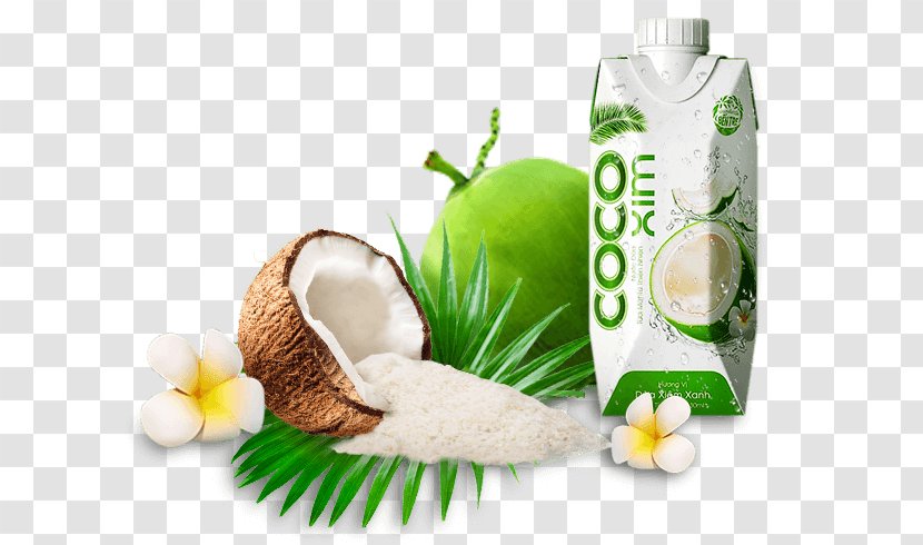 Coconut Milk Betrimex Water Oil Transparent PNG