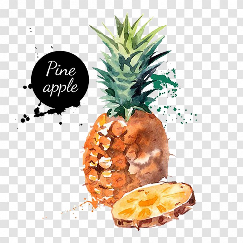 Organic Food Fruit Pineapple Seasonal - Tropical - Watercolor Painted Transparent PNG