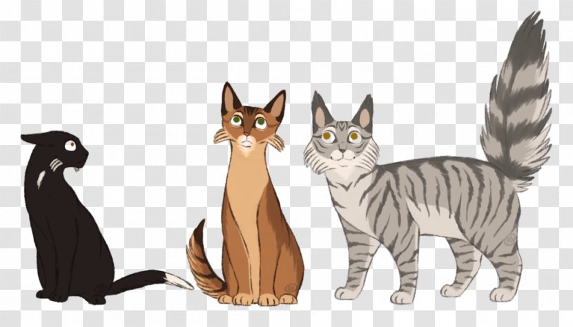 Kitten Whiskers Tabby Cat Warriors - Cartoon Transparent PNG
