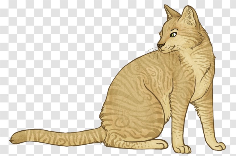 Cat Warriors Sandstorm Firestar Leafpool - Small To Medium Sized Cats Transparent PNG