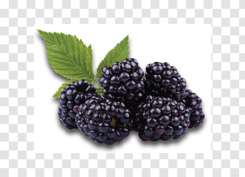 Blackberry Boysenberry Flavor Fruit Electronic Cigarette Aerosol And Liquid Transparent PNG