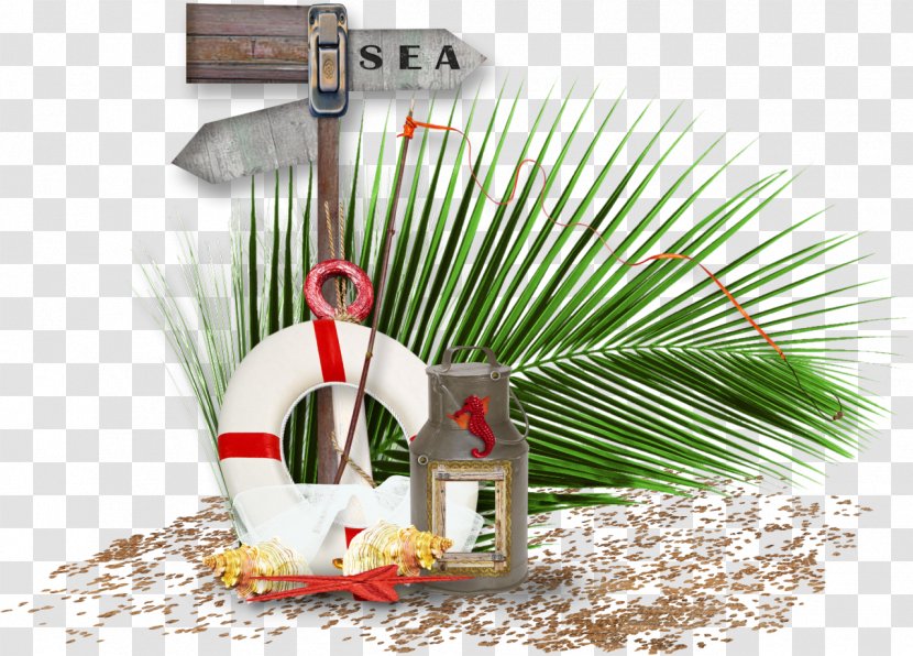 Sea Crociera Clip Art - Collage Transparent PNG