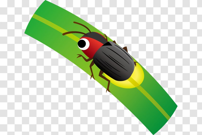 Insect Illustration Clip Art Firefly Product Design - Pop Music Transparent PNG