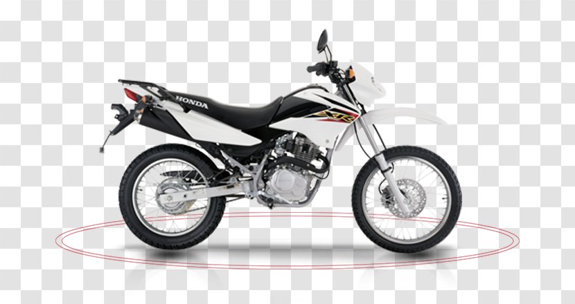 Honda CRF150F XR 150 Motorcycle Series - Crf150f - 125 Transparent PNG
