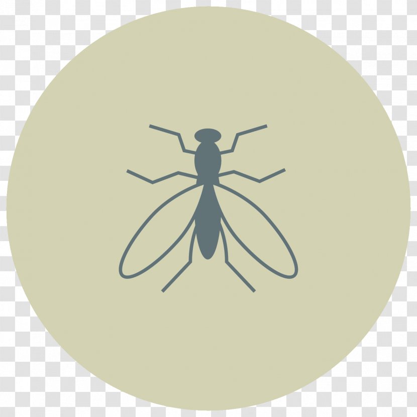 Fly Insect Vector Graphics Circle - Payment Transparent PNG