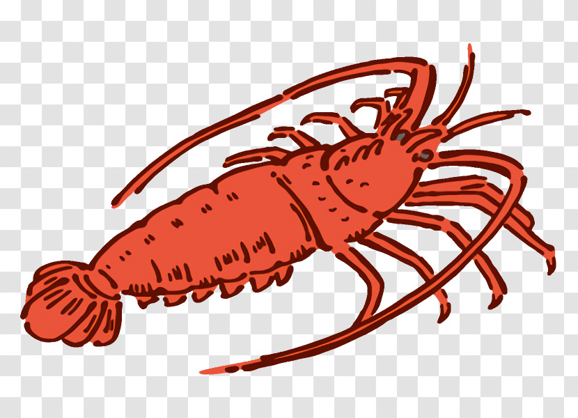 American Lobster European Lobster Spiny Lobster Dungeness Crab Crayfish Transparent PNG