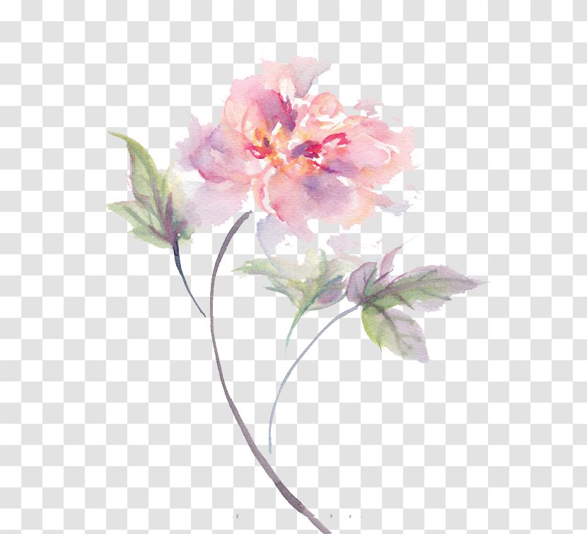 Flower Designer - Drawing - Watercolor Material Transparent PNG