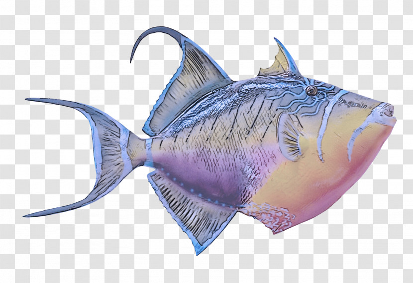 Fish Fish Triggerfish Deep Sea Fish Fin Transparent PNG