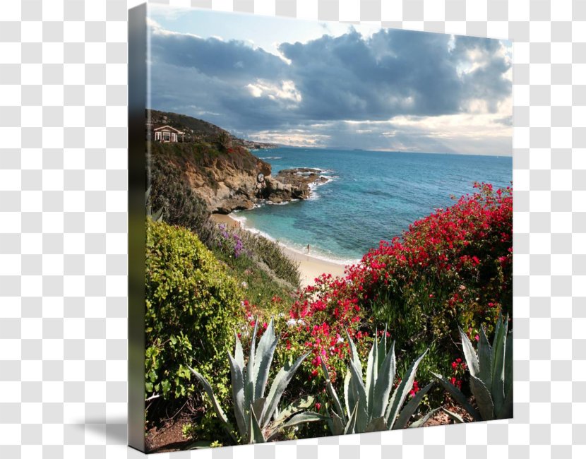 Sea Coast Inlet Vacation Flower - Landscape Transparent PNG