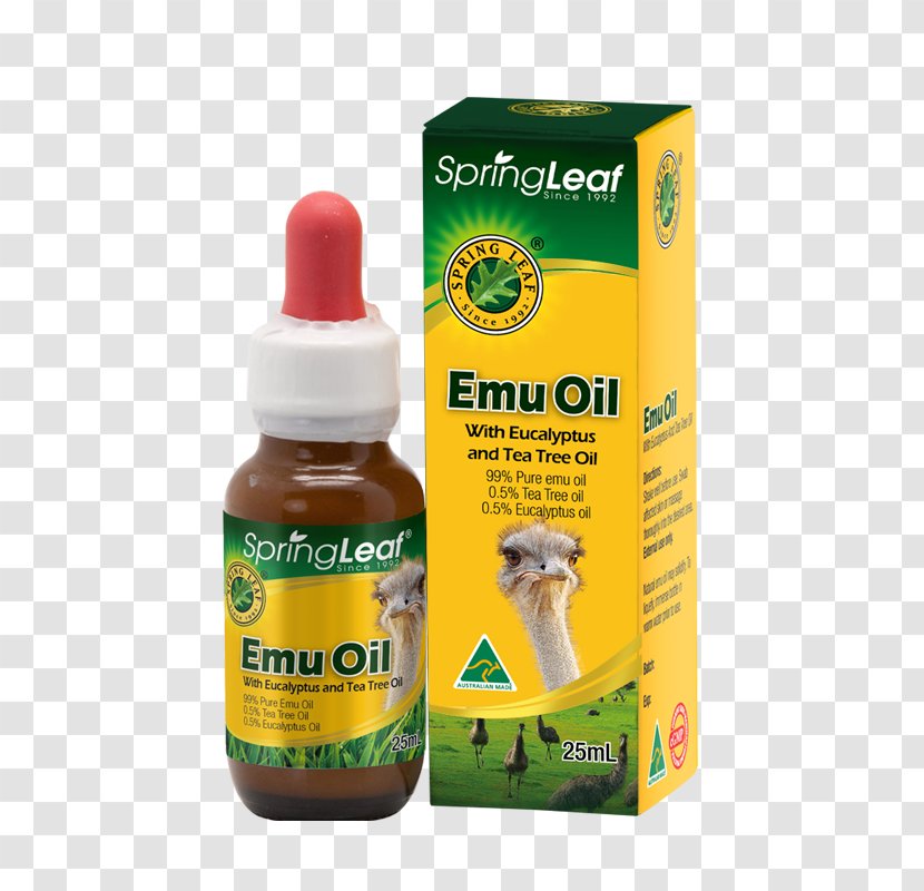 Tea Tree Oil Emu Eucalyptus Gum Trees - Flavor Transparent PNG