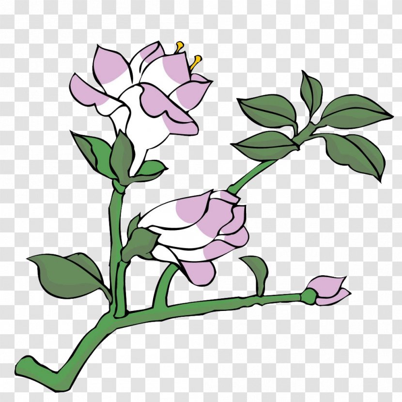 Floral Design Painting Drawing Flower - Floristry - Hand-painted Plants Transparent PNG