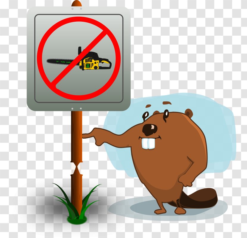 Beaver Cartoon Clip Art - Diagram Transparent PNG