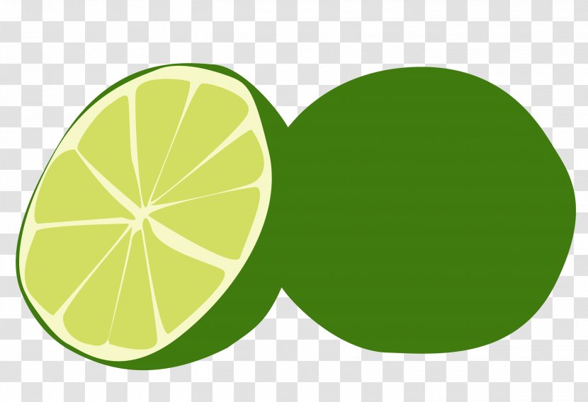 Key Lime Lemon Persian - Fruit - Slice Vector Transparent PNG