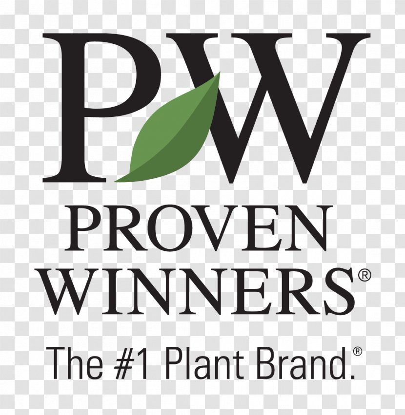 Annuals & Perennials Garden Proven Winners Perennial Plant - Dream Transparent PNG