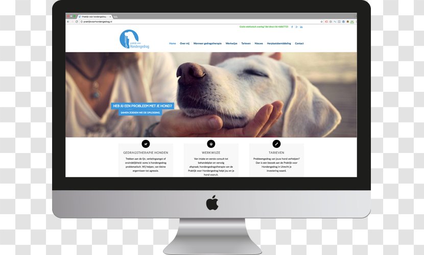 Wohlfühlfaktoren: Hundeernährung, Pflege, Alltagstipps Web Design Page - Multimedia Transparent PNG