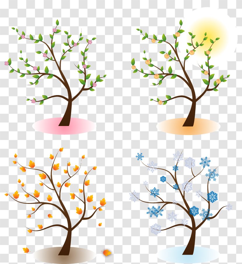 Four Seasons Hotels And Resorts Tree Clip Art - Flower Transparent PNG