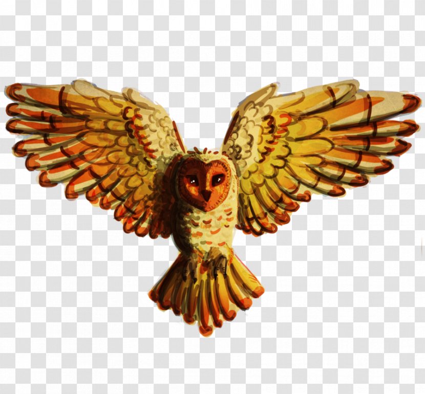 Owl Bird Of Prey Drawing Beak - Deviantart - Frie Transparent PNG