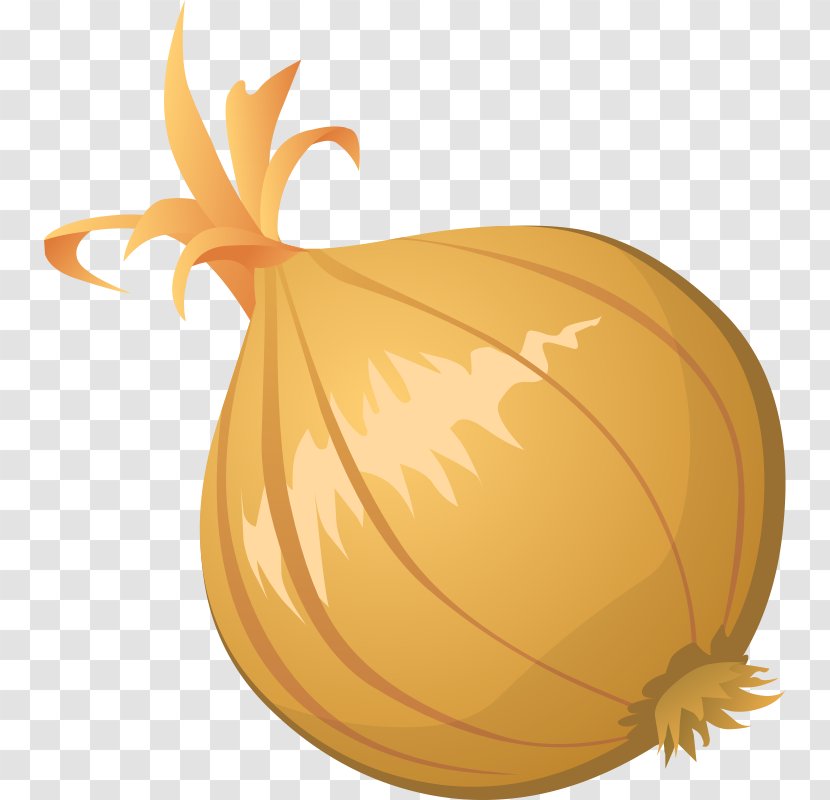 Free Content Blooming Onion Clip Art - Vegetable - Onions Cliparts Transparent PNG