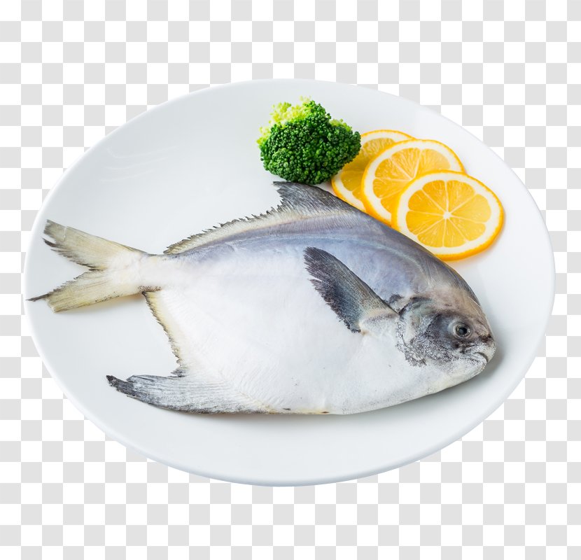 Pampus Argenteus Black Pomfret Fish Seafood - Dishware - East Sea Transparent PNG