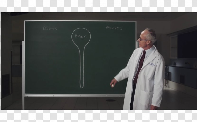 Lecture Blackboard Learn Presentation Professor - Public Speaking - Study Hard Transparent PNG