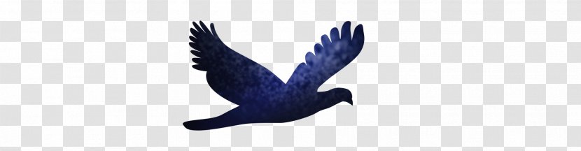 Logo Brand Text Beak Font - Page Footer - Bird Pattern Transparent PNG
