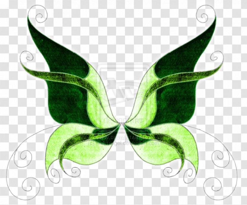 Butterfly Drawing Color Clip Art - Green - Meadow Transparent PNG