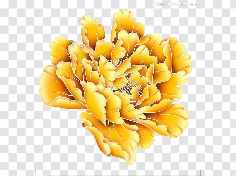 Yellow Moutan Peony Gold - Bright Transparent PNG