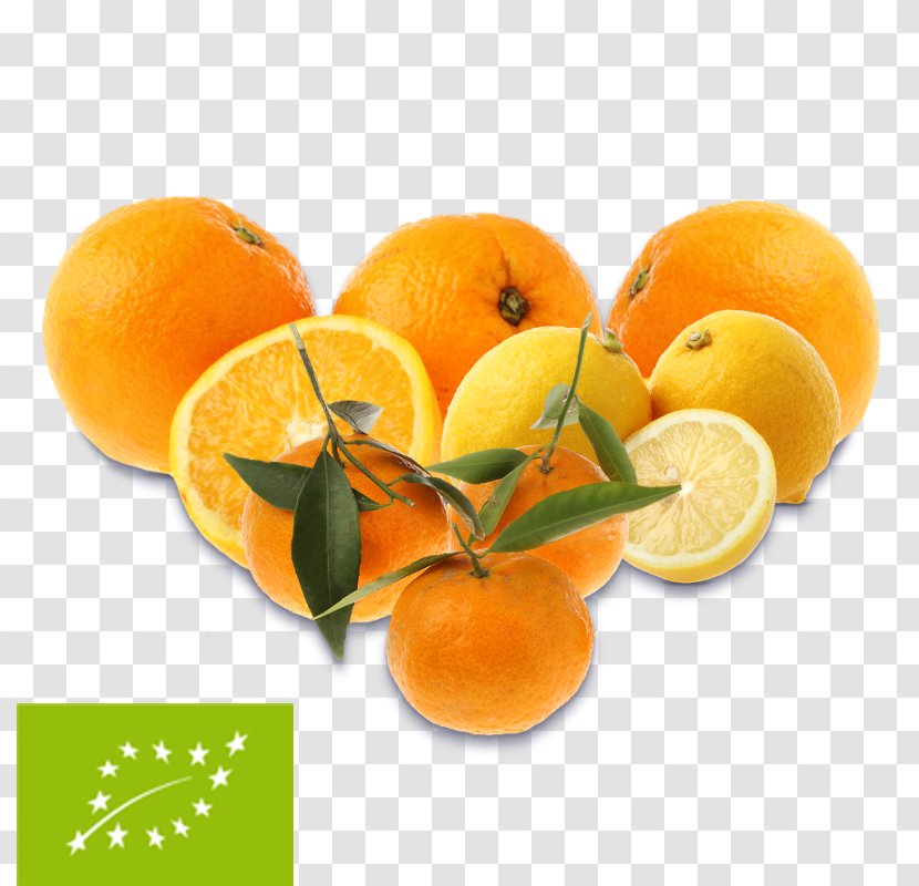 Clementine Mandarin Orange Lemon Grapefruit - Food Transparent PNG