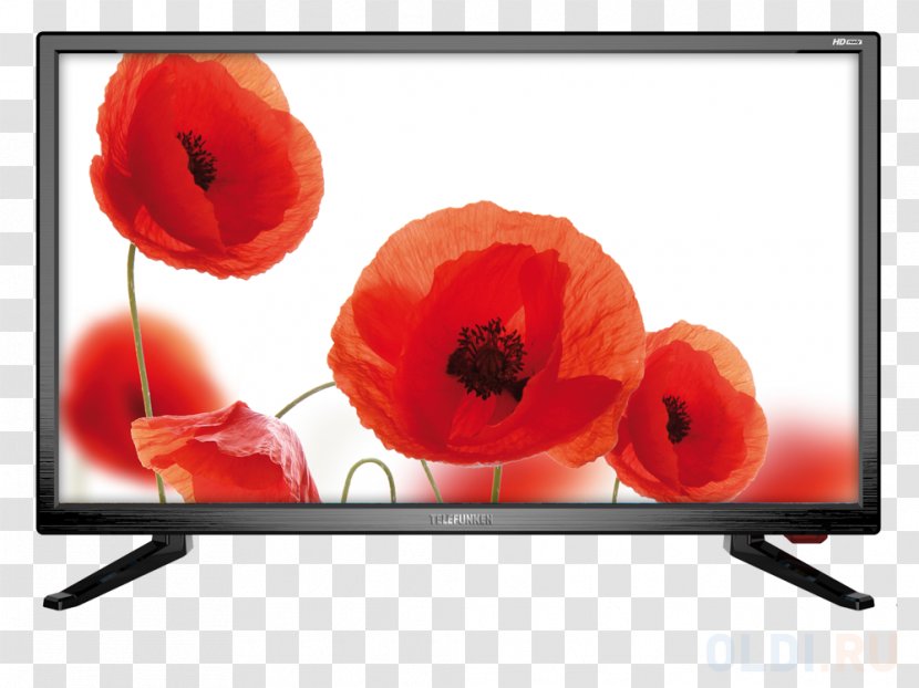 Telefunken LED-backlit LCD HD Ready Display Resolution 16:9 - Poppy Family - Ledbacklit Lcd Transparent PNG